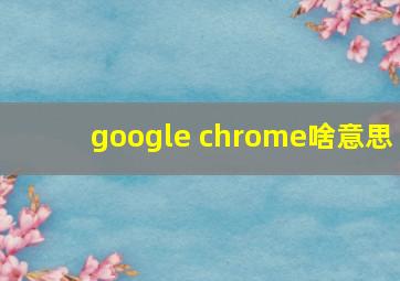 google chrome啥意思